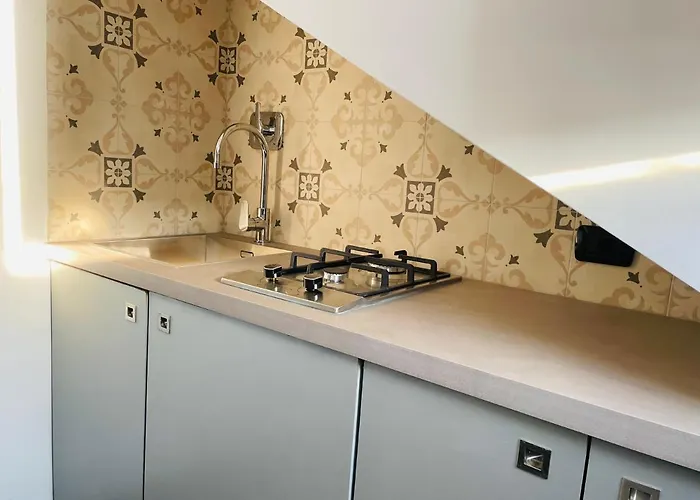 Mansarda Galliari F51 تورينو